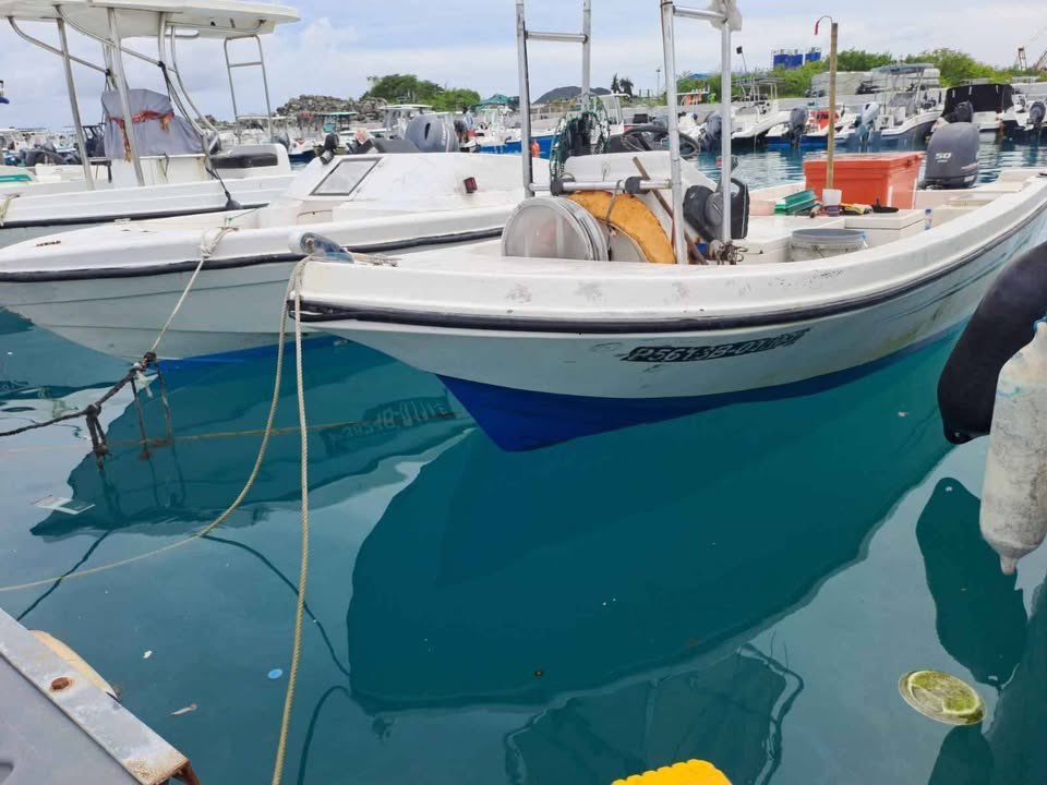 Used Custom 19ft Fiberglass Dinghy — photo 5