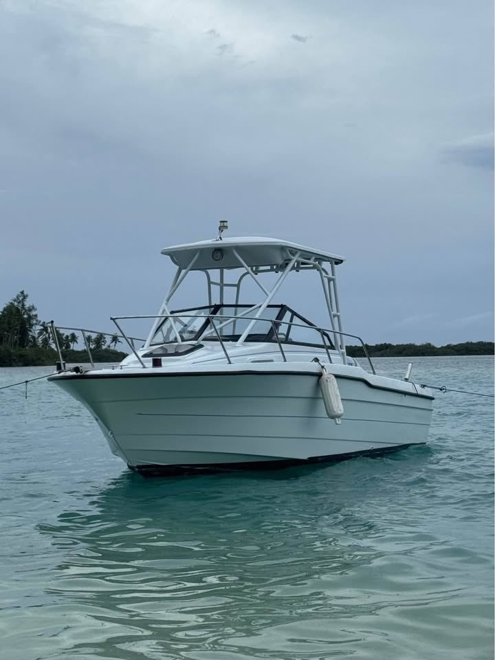 New 2002 Bayliner Trophy — photo 2