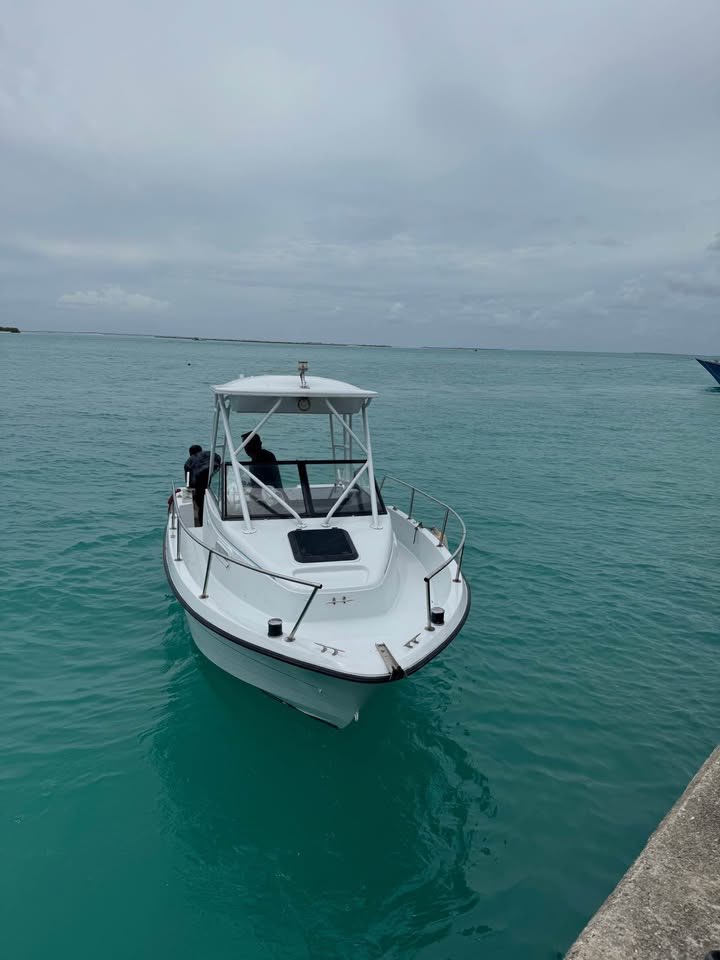 New 2002 Bayliner Trophy — photo 3